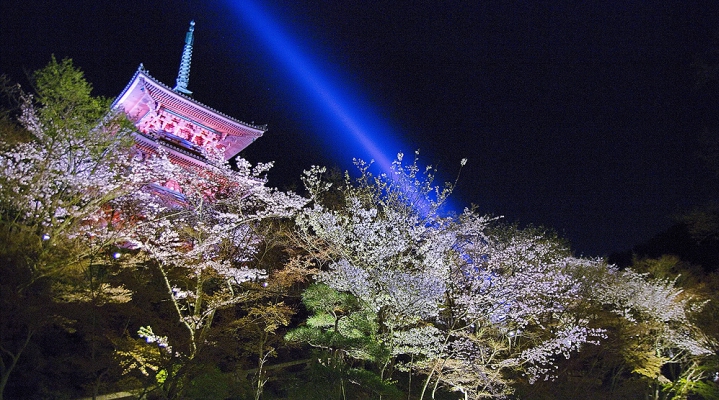 Групповой тур «Сакура» 10 дней: Токио-Киото-Осака