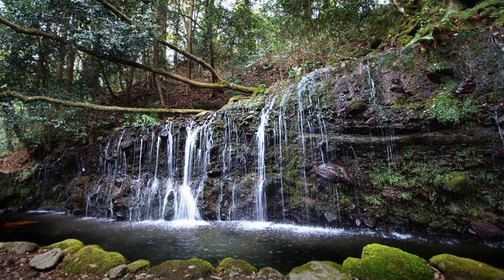 Водопад Тисудзи