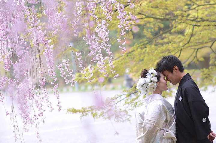 цветущая сакура фото невеста Япония