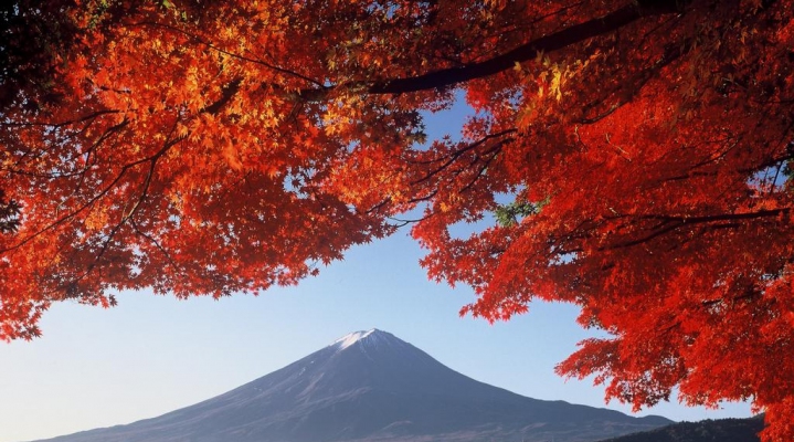 Пеший тур: гора Фудзи и лучшие достопримечательности (English)