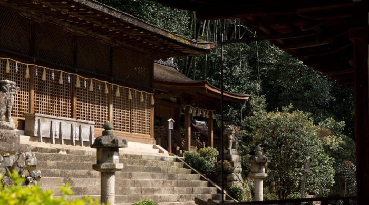 Премиум-тур по Киото с участием в изготовлении чая маття (English)