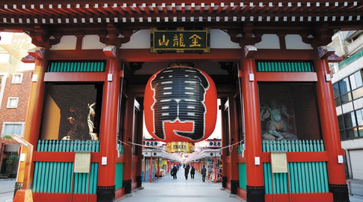 Токио: панорамная экскурсия + круиз и чайная церемония (English)