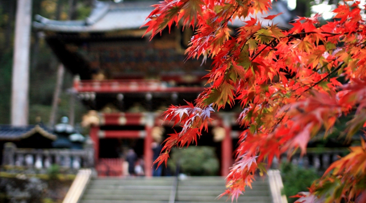 Тур «Осенняя классика»: Токио-Никко-Камакура