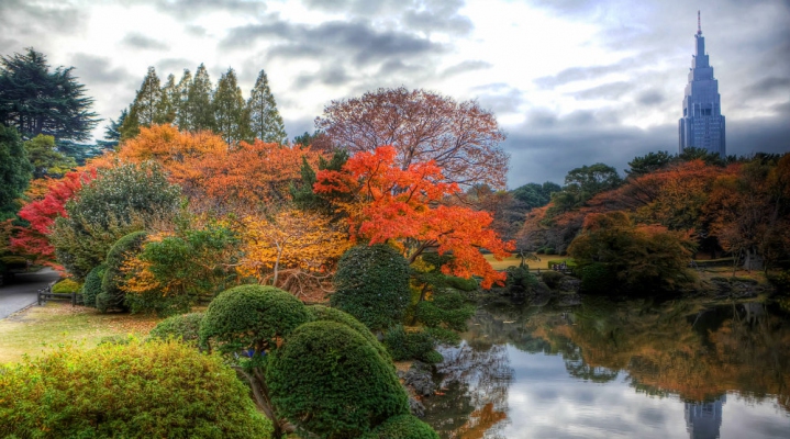 Осенний Токио. Эконом-тур