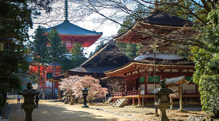 Тур из Осаки: гора Коя – наследие ЮНЕСКО