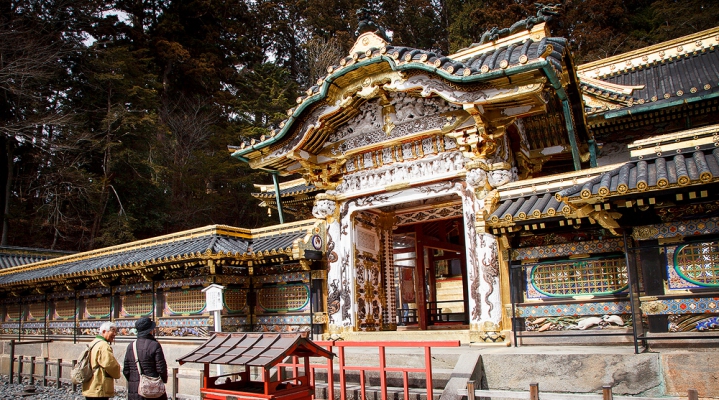 Любование кленами Токио-Никко-Хаконе