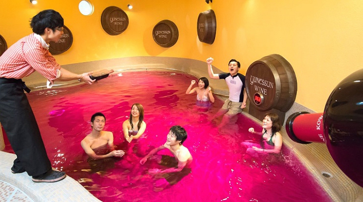 Любование кленами Токио-Никко-Хаконе