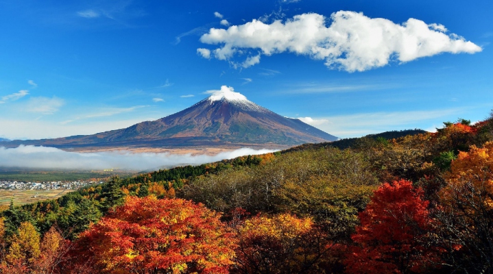 Летний тур: «7 городов» + гора Фудзи