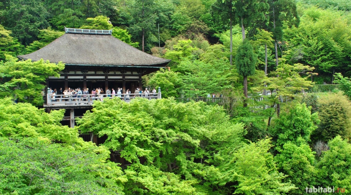 Большая экскурсия по Киото (English)