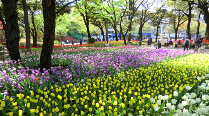 Парк Иокогама