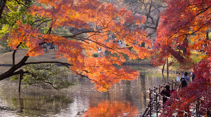 Коракуэн – один из величайших традиционных садов Японии