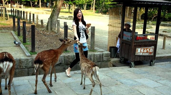 Сакура для тебя! 