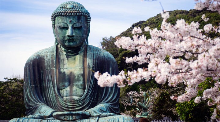 Эконом-тур на сакуру  2026 в мини-группе