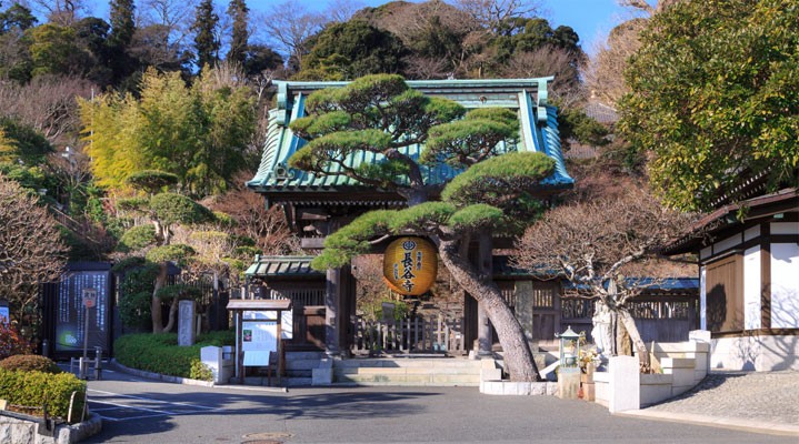 Экскурсия в Камакуру и Иокогаму 