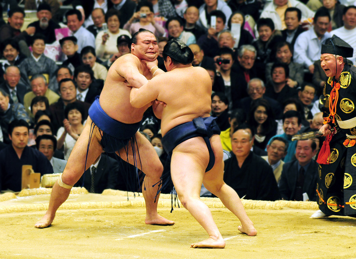 Японская национальная борьба сумо