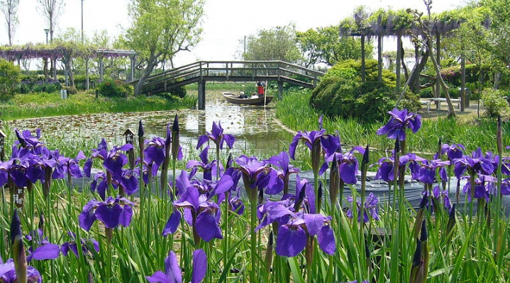 Водный ботанический сад Суйго Савара
