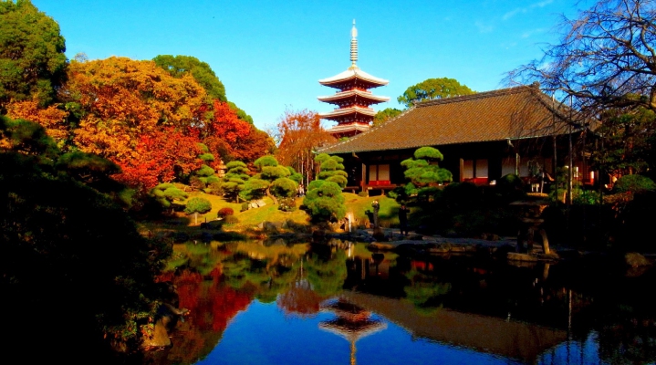 Любование кленами Токио-Никко-Хаконе