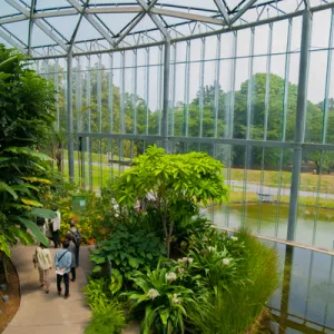 Ботанический сад Синдзюку Гёэн