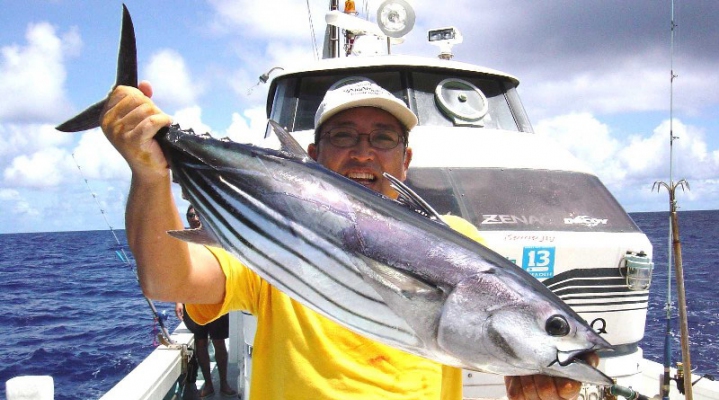 Кацуо — полосатый тунец
