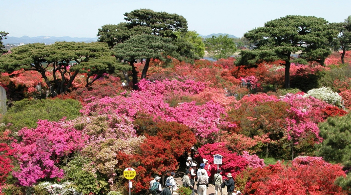 Парк Цуцудзигаока