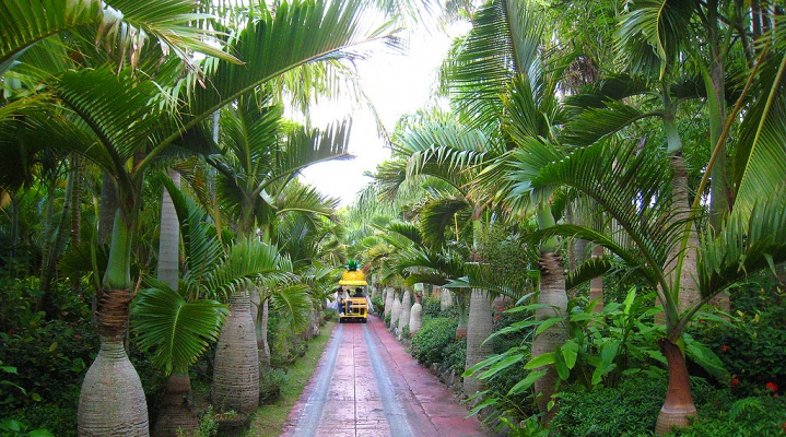 Экскурсия на Окинаве: замок, океанариум, ананасовый парк (English)
