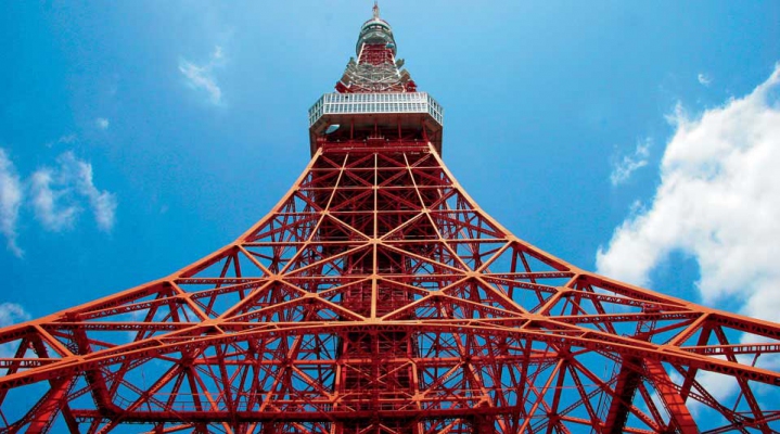 Токио: панорамная экскурсия + круиз и чайная церемония (English)