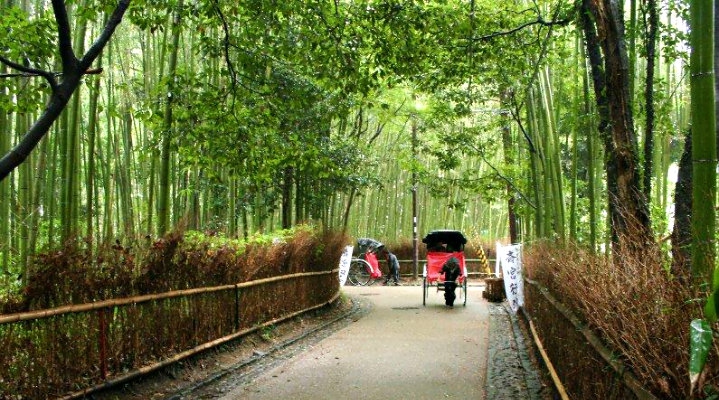 Арасияма: премиум-тур. Храмы, бамбуковая роща и поездка на рикше (English)