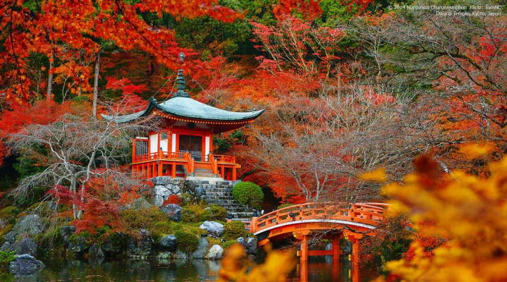 Любование осенними листьями в Киото