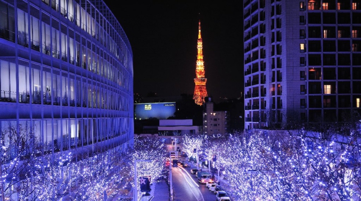 Детский тур: «Зимние каникулы в Японии»