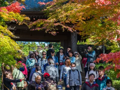 Сезон момидзи: триумф Природы