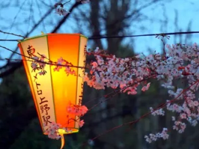 Ханами в парке Уэно