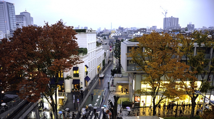 Осенний спа-тур на 10 дней: «Две столицы» + Нара
