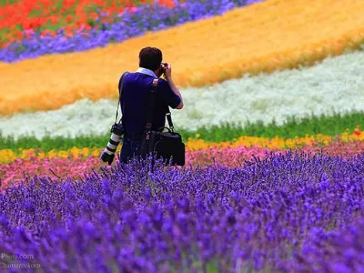 Цветочные поля Фурано
