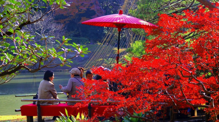 Осенний тур «Две столицы» + поездка на Фудзи