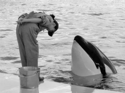 Четыре неочевидных, но важных японских обычая