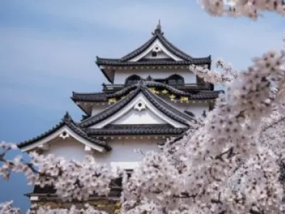 Сезон цветения сакуры: наш путеводитель по весенней Японии