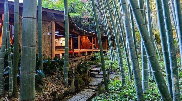 Храм Хококу-дзи и его знаменитая бамбуковая роща