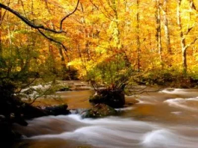 Золотая осень на озере Товада