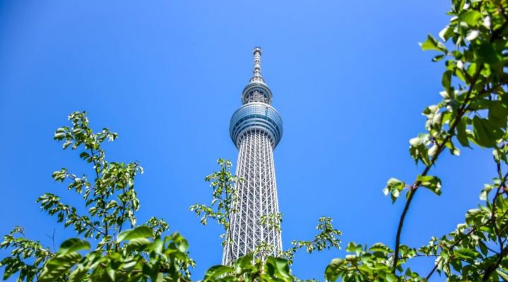 Тур «Летние каникулы в Токио с изучением японского языка»