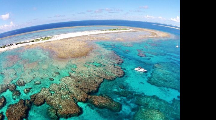 Снорклинг на островах Керама, Окинава