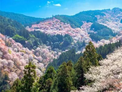 10 самых красивых природных мест Японии 