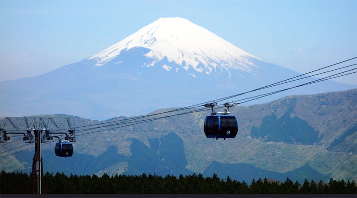 Эконом-тур на сакуру  2026 в мини-группе