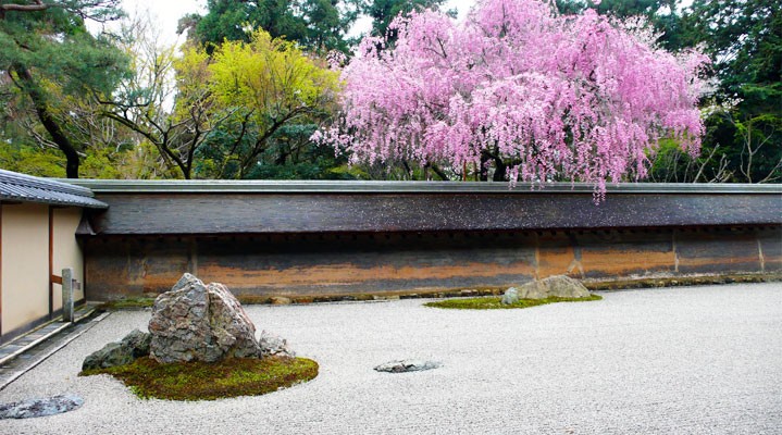 Эконом-тур на сакуру  2026 в мини-группе