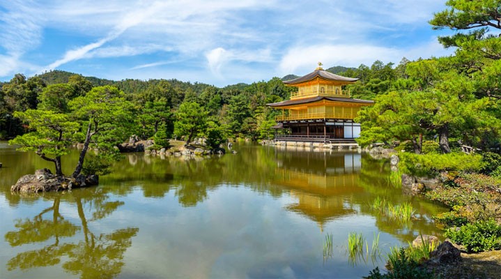 Эконом-тур на сакуру  2026 в мини-группе