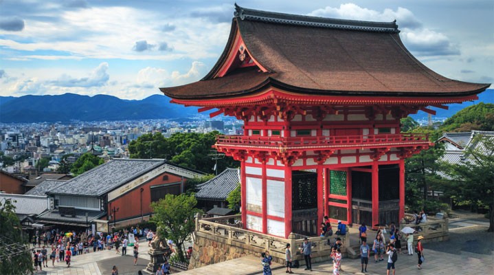 Эконом-тур на сакуру  2026 в мини-группе