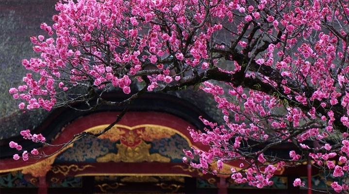 Фукуока: храмы, легенды и дух Японии