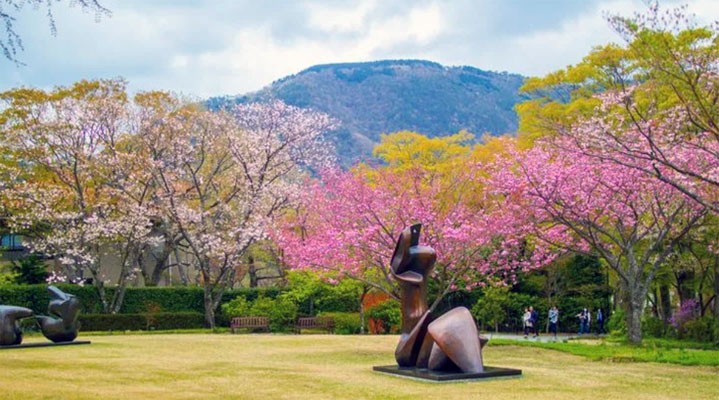 Экскурсия в Хаконе Open Air Museum + термальные ванны