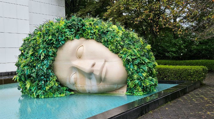 Экскурсия в Хаконе Open Air Museum + термальные ванны