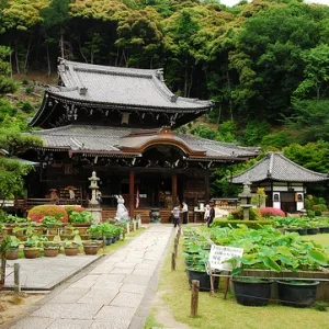 Храм Мимурото-дзи