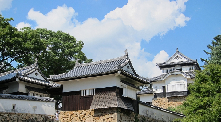 Замок Битю-Мацуяма